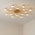 Contemporary Ceiling Fixture