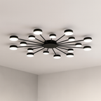 Contemporary Ceiling Fixture