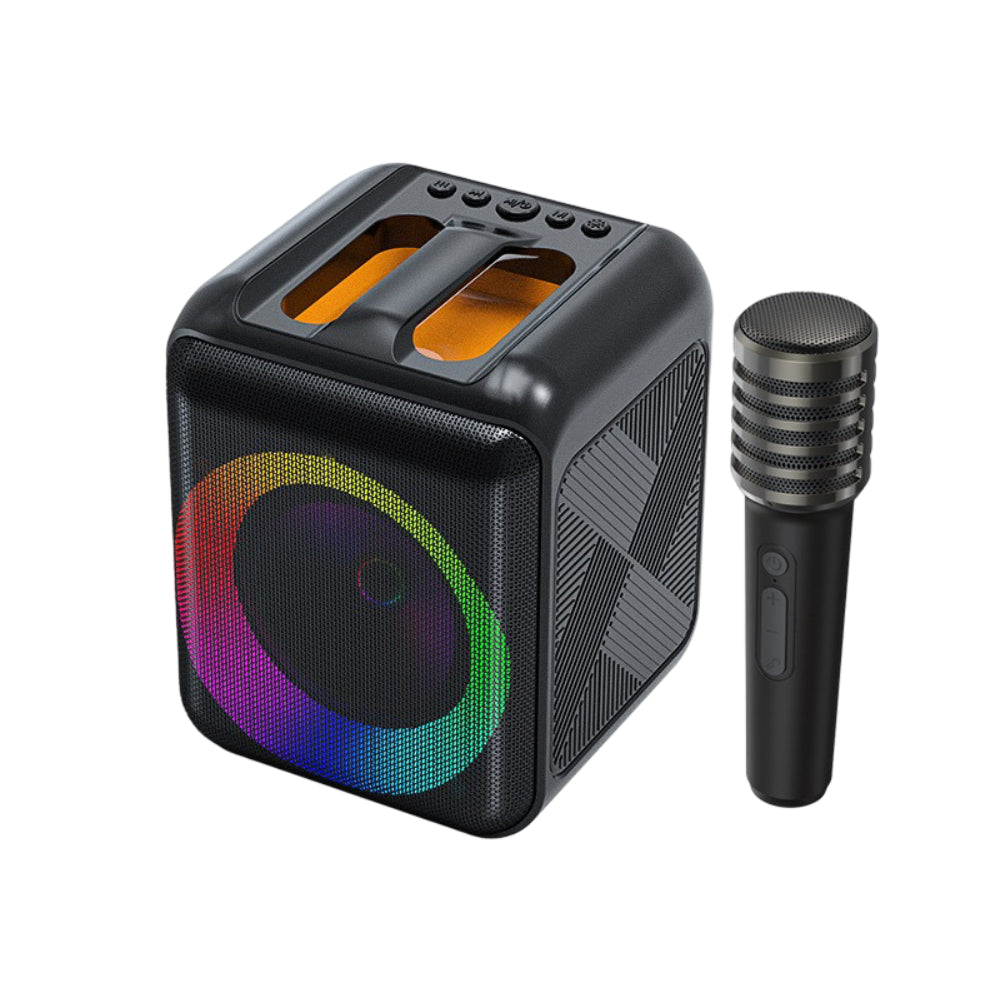 Portable Bluetooth Karaoke Speaker with Wireless Microphones