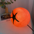 Table Lamp in Tomato Shape