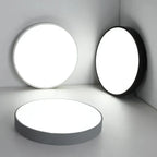 Metal Framed Round Ceiling Light with LED Illumination
