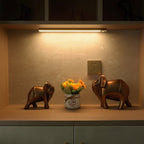 Wireless Rechargeable Night Light with LED Motion Sensor