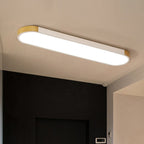 Color Changing LED Ceiling Light – Modern Flush Mount for Any Space