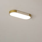 Color Changing LED Ceiling Light – Modern Flush Mount for Any Space