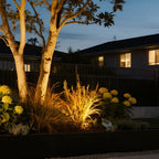 Outdoor LED Spotlight - Waterproof IP65, Low Voltage Landscape Light, Warm White 3000K, Choices from 6W to 24W
