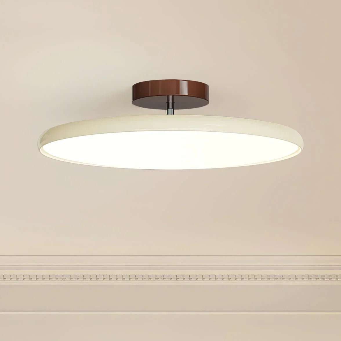 Adjustable Ceiling Lamp with Modern Minimalist Style