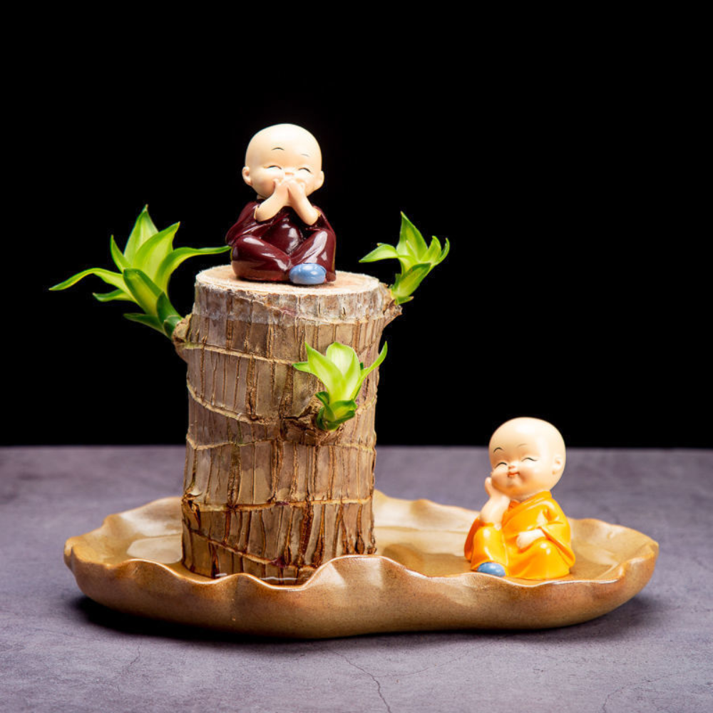 Decorative Pot with Lucky Bamboo Plant for Air Purification