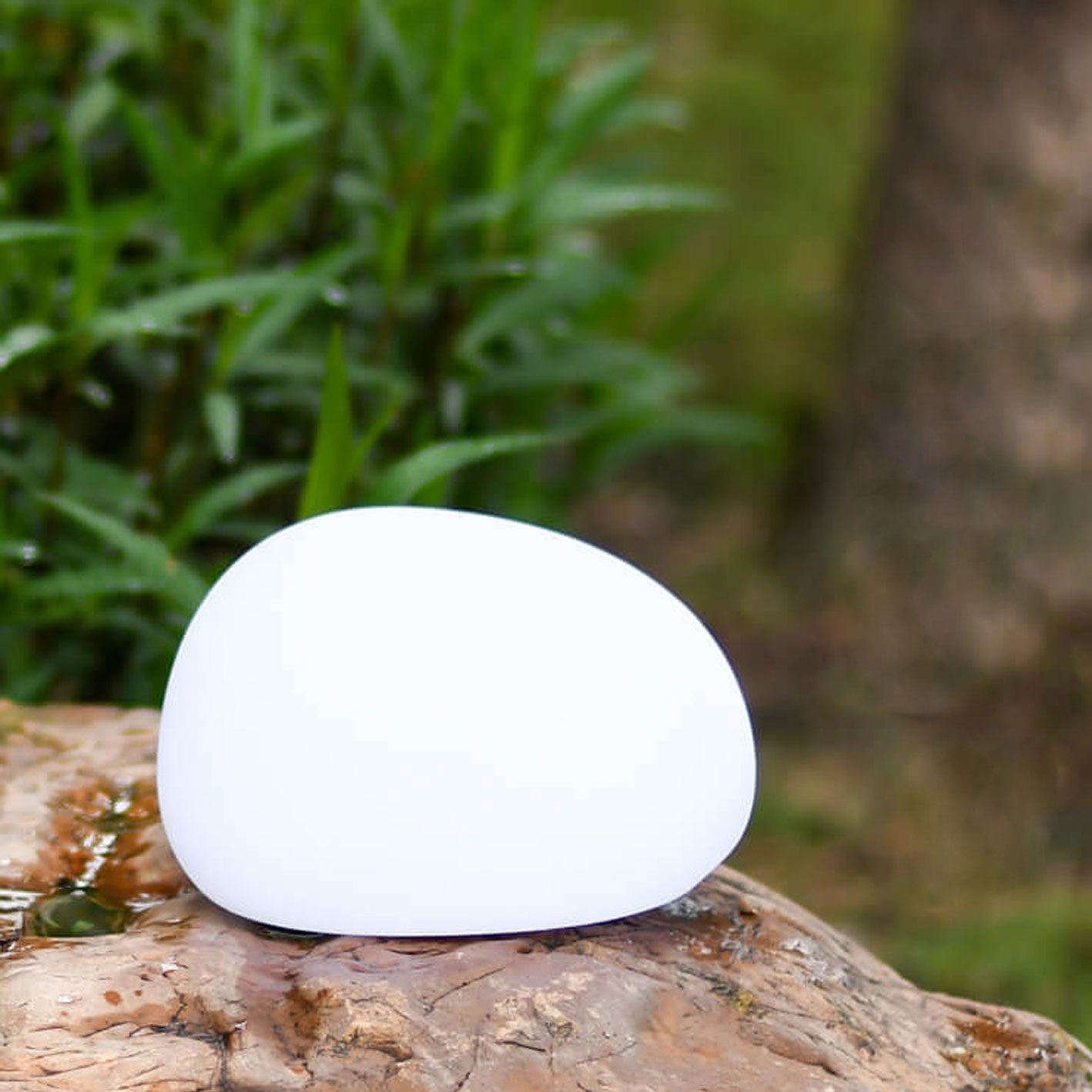 Elegant Solar Landscape Lighting Fixture for Outdoor Use