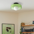 Contemporary Flush Mount Ceiling Light Fixture for Stylish Interiors