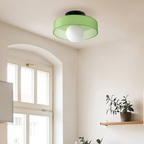 Contemporary Flush Mount Ceiling Light Fixture for Stylish Interiors