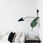 Adjustable Wall Light with Dual Arms for Reading and Accent Illumination