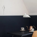 Adjustable Wall Light with Dual Arms for Reading and Accent Illumination