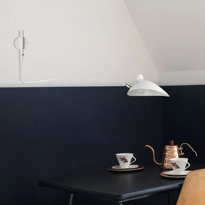 Adjustable Wall Light with Dual Arms for Reading and Accent Illumination