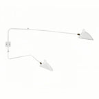 Adjustable Wall Light with Dual Arms for Reading and Accent Illumination