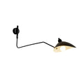 Adjustable Wall Light with Dual Arms for Reading and Accent Illumination