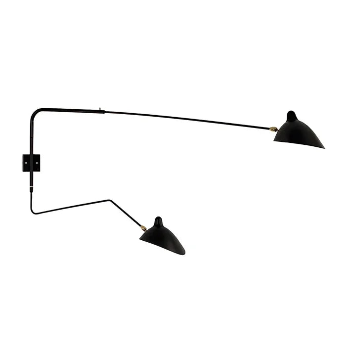 Adjustable Wall Light with Dual Arms for Reading and Accent Illumination