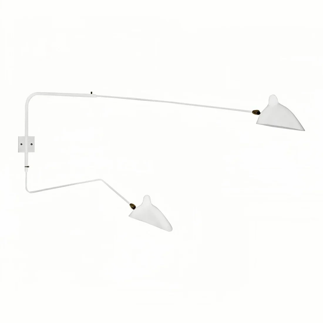 Adjustable Wall Light with Dual Arms for Reading and Accent Illumination