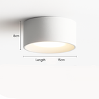 Sleek LED Flush Mount Light Fixture