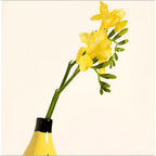 Contemporary Decorative Vase in Banana Shape – Fun Accent for Modern Spaces