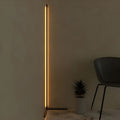 RGB Corner Standing Lamp with Remote – Energy-Efficient Black Floor Light