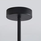 Elegant Black and Gold Pendant Light Fixture