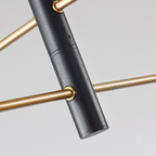 Sophisticated Black and Gold Pendant Light Fixture