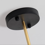 Sophisticated Black and Gold Pendant Light Fixture