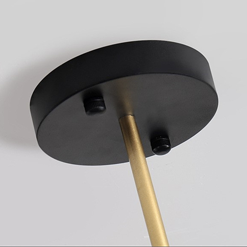 Sophisticated Black and Gold Pendant Light Fixture