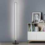 Black Metal Standing Lamp with Oval Shade – LED Floor Light in Minimalist Design