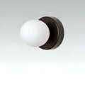 Round Glass Globe Indoor Wall Lamp Sconce Fixture