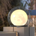 Outdoor Round Globe Lamp with Glass Shade and Black Housing
