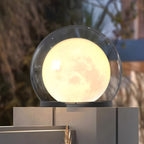 Outdoor Round Globe Lamp with Glass Shade and Black Housing