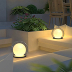 Outdoor Round Globe Lamp with Glass Shade and Black Housing