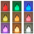 Remote-Controlled LED Lantern for Outdoor Use with Color Changing Feature