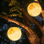 Gold Round Moon-Shaped Solar Garden Hanging Light