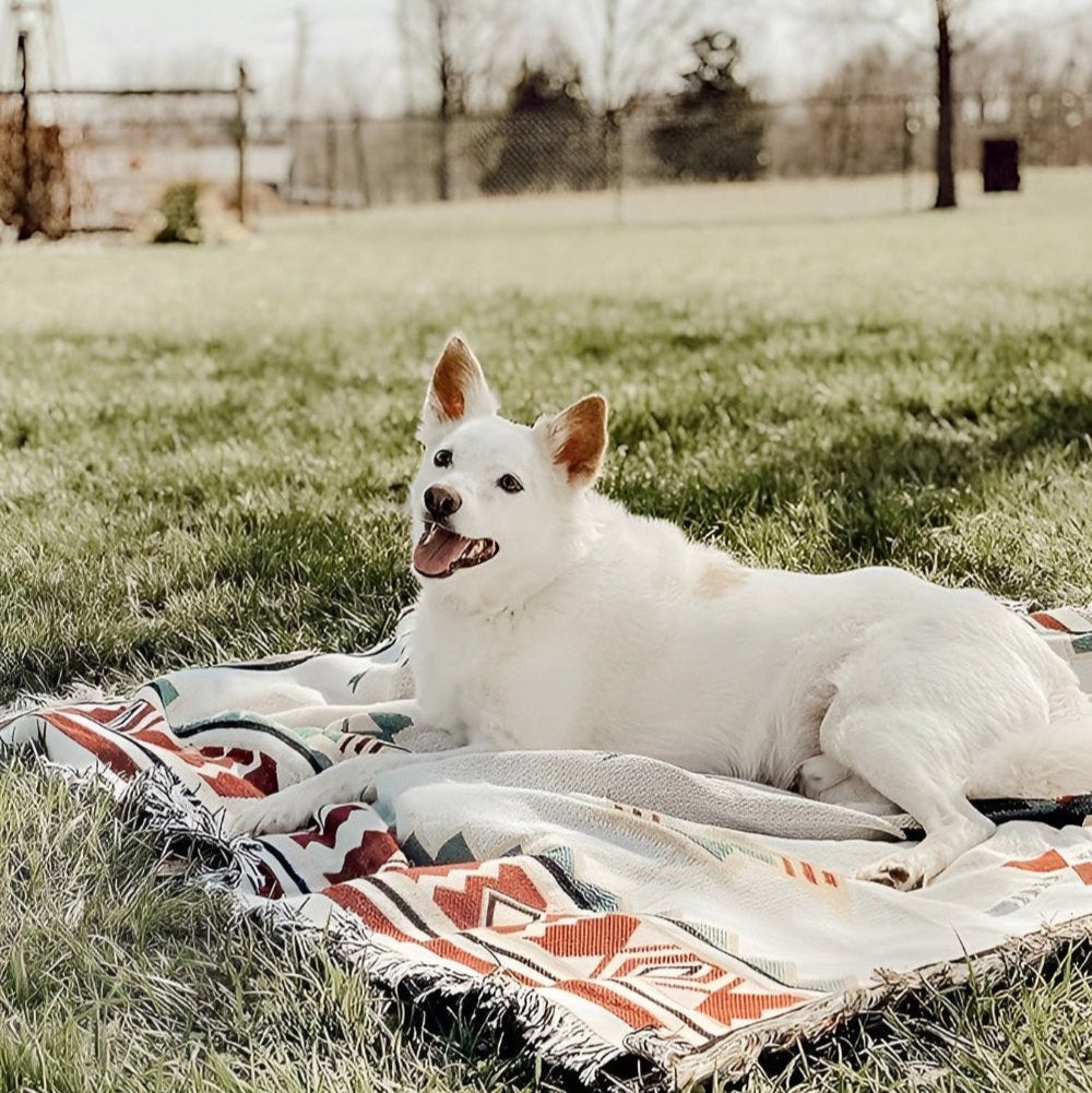 Moderniqa | Reversible cotton picnic mat 1