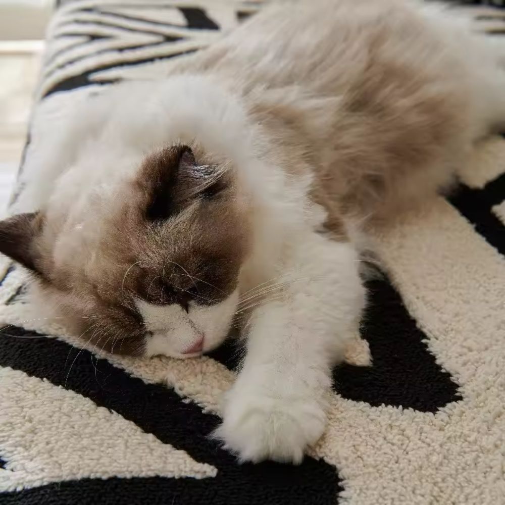 Moderniqa | Soft microfibre couch cover with maze jacquard pattern 6