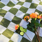 Moderniqa | Soft microfibre picnic blanket with checkered pattern 4
