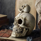 Charming Halloween Skull Decor Set