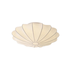 Ceiling Light with Soft Glow Design Inspired by Petals