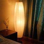 Sleek Contemporary Black Floor Lamp for Living Room Decor