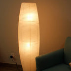 Sleek Contemporary Black Floor Lamp for Living Room Decor