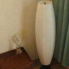 Sleek Contemporary Black Floor Lamp for Living Room Decor