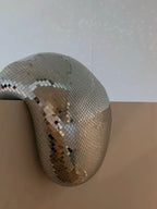 Retro-Inspired Melting Glass Artwork for Home Decor