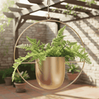 Minimalist Wall Plant Hanger - Space-Saving Design for Indoor Plants