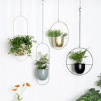 Minimalist Wall Plant Hanger - Space-Saving Design for Indoor Plants