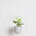Minimalist Wall Plant Hanger - Space-Saving Design for Indoor Plants