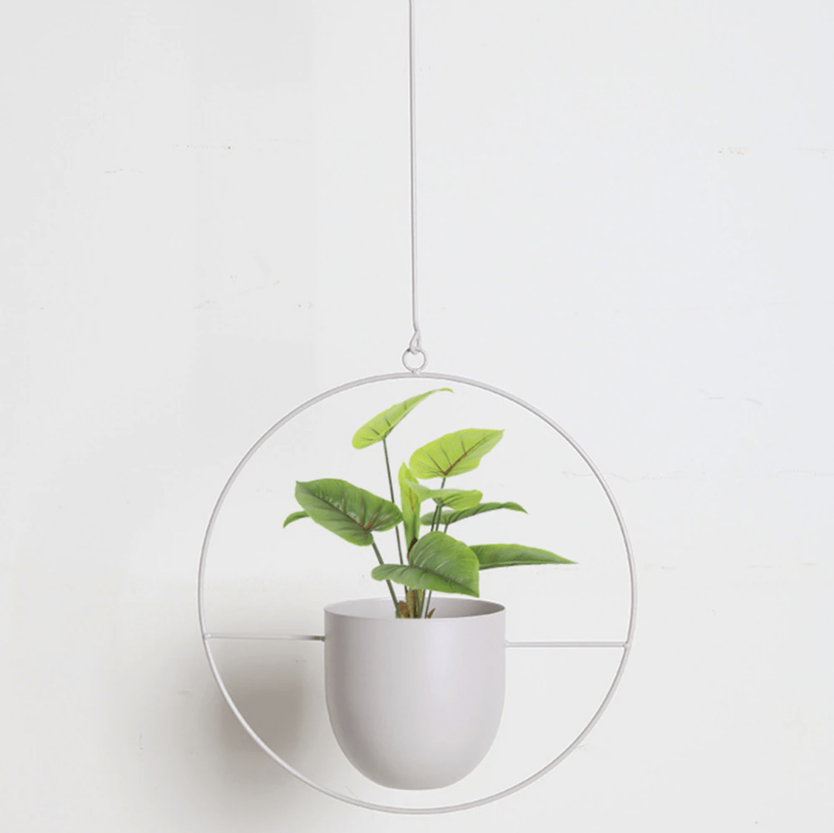 Minimalist Wall Plant Hanger - Space-Saving Design for Indoor Plants