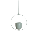 Minimalist Wall Plant Hanger - Space-Saving Design for Indoor Plants