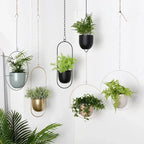 Minimalist Wall Plant Hanger - Space-Saving Design for Indoor Plants